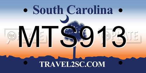 MTS913 South Carolina License Plate