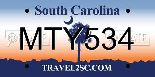 MTY534 South Carolina License Plate
