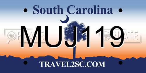 MUJ119 South Carolina License Plate