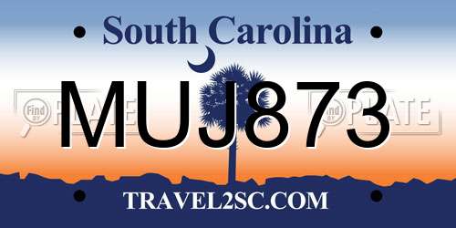 MUJ873 South Carolina License Plate