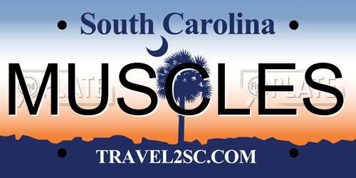 MUSCLES South Carolina License Plate