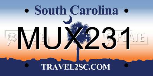MUX231 South Carolina License Plate