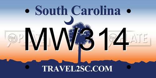 MW314 South Carolina License Plate