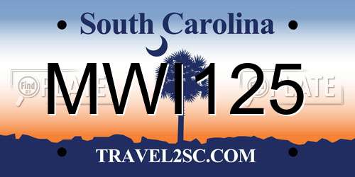 MWI125 South Carolina License Plate