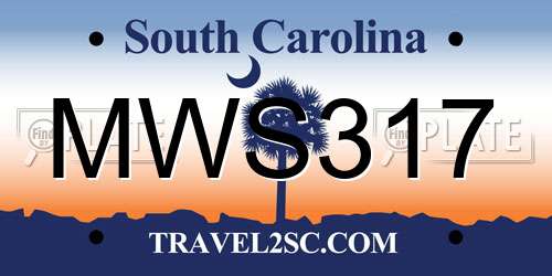 MWS317 South Carolina License Plate