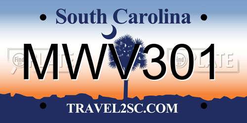 MWV301 South Carolina License Plate