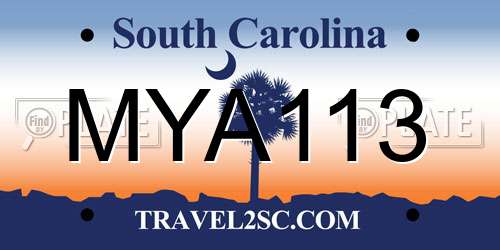 MYA113 South Carolina License Plate