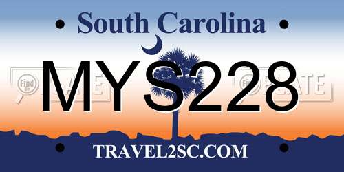 MYS228 South Carolina License Plate