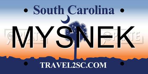 MYSNEK South Carolina License Plate