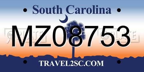 MZ08753 South Carolina License Plate