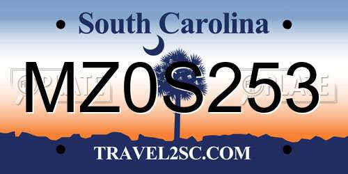 MZ0S253 South Carolina License Plate