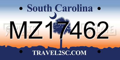 MZ17462 South Carolina License Plate