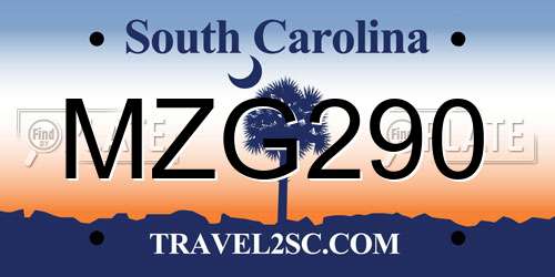 MZG290 South Carolina License Plate