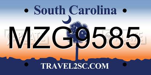 MZG9585 South Carolina License Plate