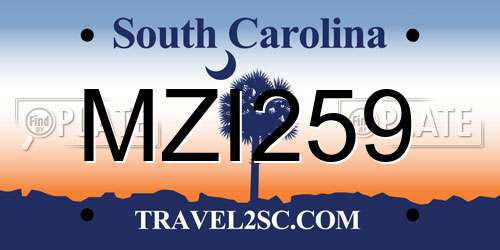 MZI259 South Carolina License Plate