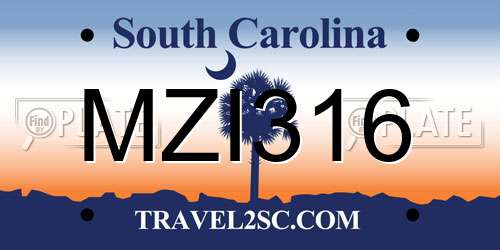MZI316 South Carolina License Plate