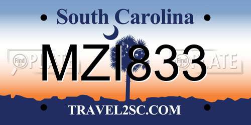 MZI833 South Carolina License Plate