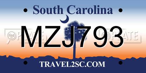 MZJ793 South Carolina License Plate