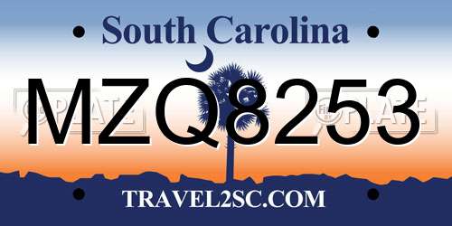MZQ8253 South Carolina License Plate
