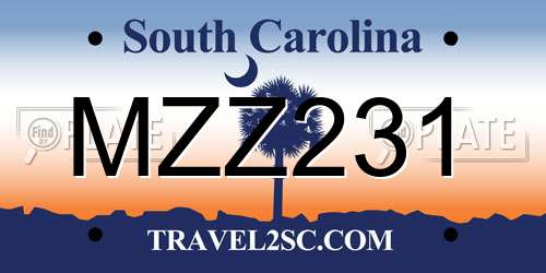 MZZ231 South Carolina License Plate