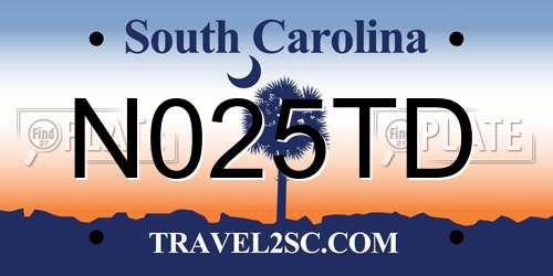 N025TD South Carolina License Plate