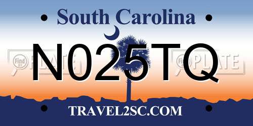 N025TQ South Carolina License Plate
