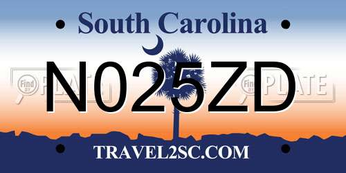 N025ZD South Carolina License Plate