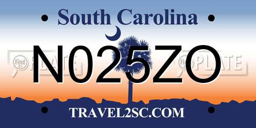 N025ZO South Carolina License Plate