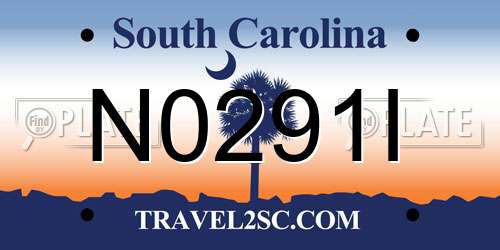 N0291I South Carolina License Plate