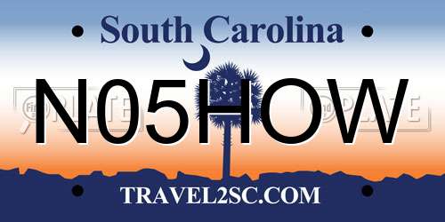 N05HOW South Carolina License Plate