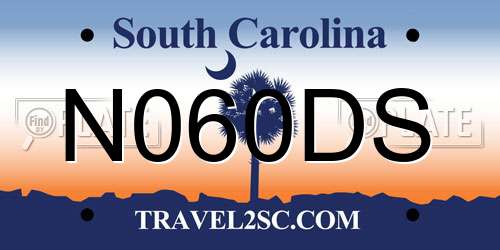 N060DS South Carolina License Plate