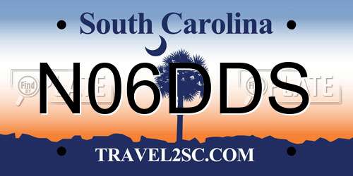 N06DDS South Carolina License Plate