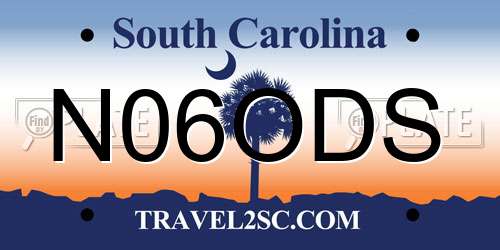 N06ODS South Carolina License Plate
