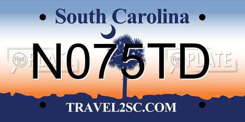 N075TD South Carolina License Plate
