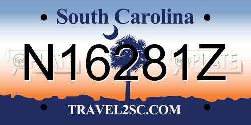 N16281Z South Carolina License Plate