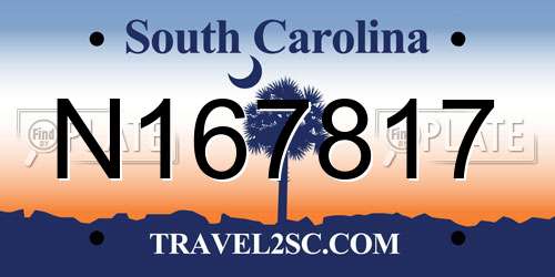N167817 South Carolina License Plate