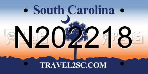 N202218 South Carolina License Plate