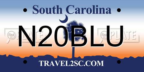 N20BLU South Carolina License Plate