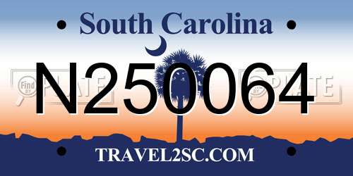 N250064 South Carolina License Plate