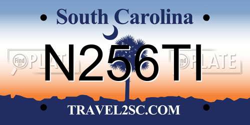 N256TI South Carolina License Plate