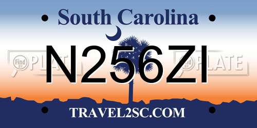N256ZI South Carolina License Plate