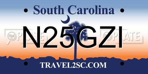 N25GZI South Carolina License Plate