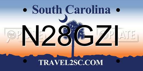 N28GZI South Carolina License Plate