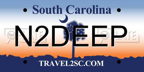 N2DEEP South Carolina License Plate