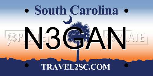 N3GAN South Carolina License Plate