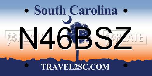 N46BSZ South Carolina License Plate