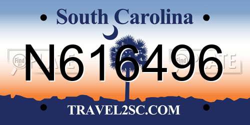 N616496 South Carolina License Plate