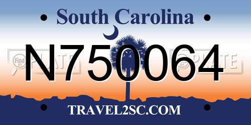N750064 South Carolina License Plate