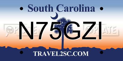 N75GZI South Carolina License Plate