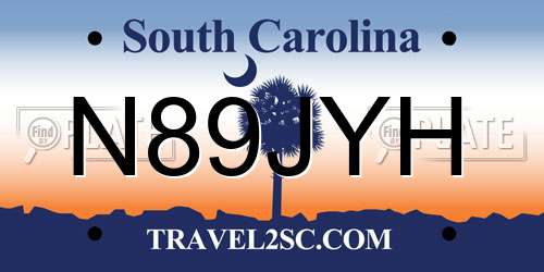 N89JYH South Carolina License Plate